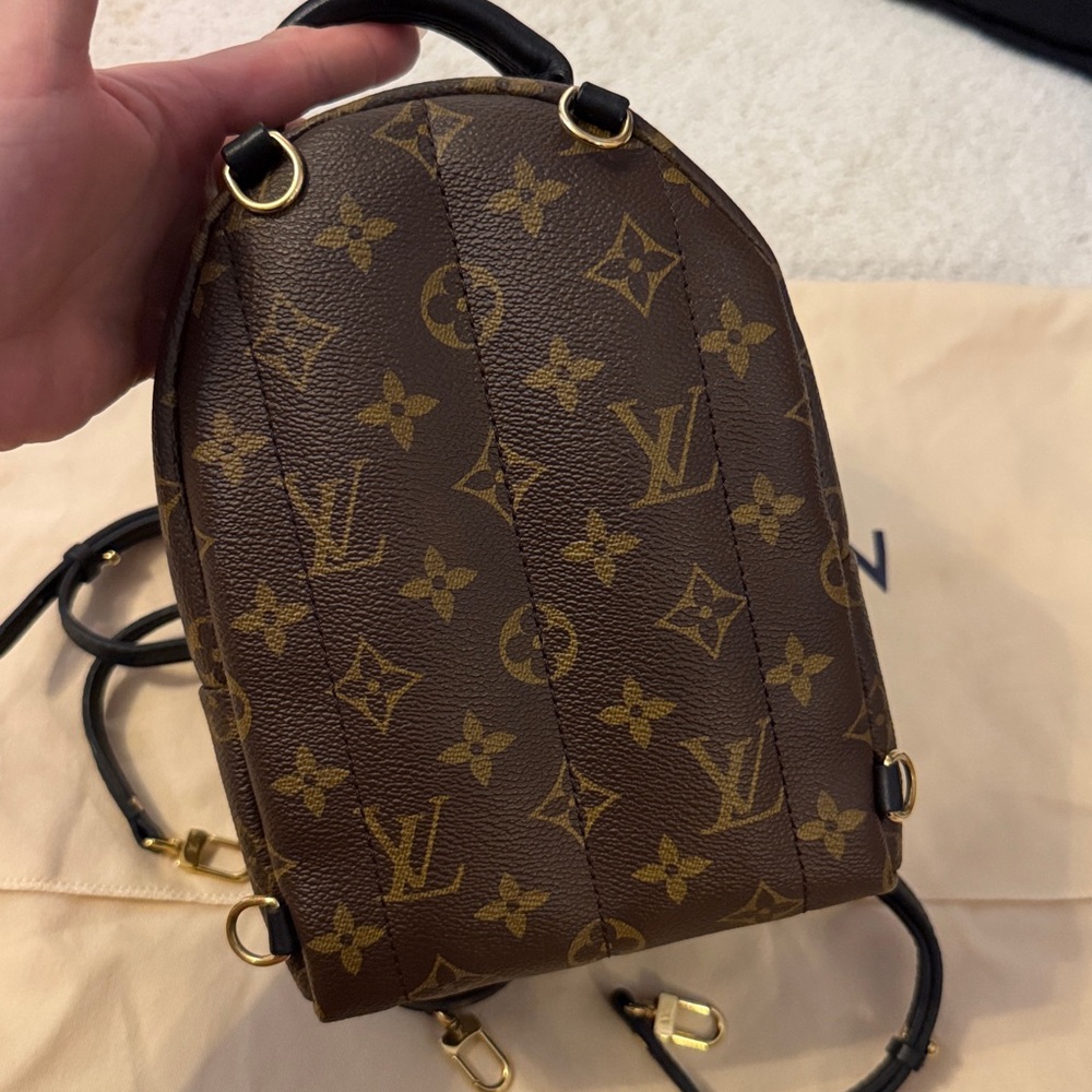 Louis Vuitton M44873 Palm Springs Mini - Picture 7 of 13